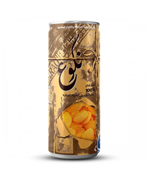 Nagoue Natural Apricot Juice (24 x 250 ml)