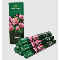 Incense - Shalimar Lotus (Box of 120 Sticks)