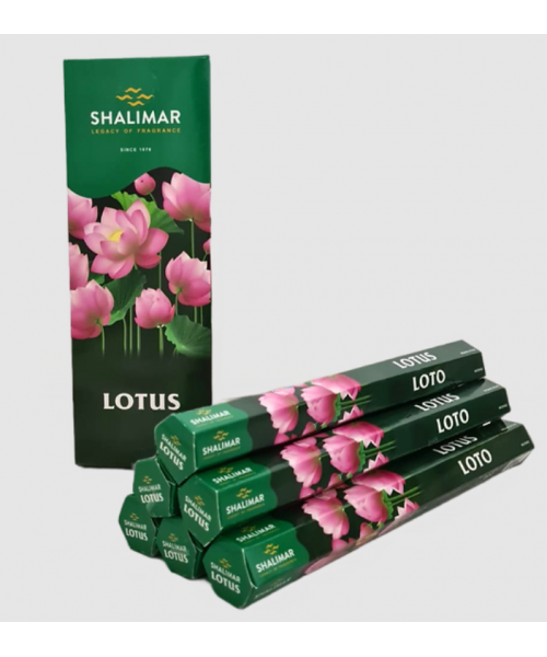 Incense - Shalimar Lotus (Box of 120 Sticks)